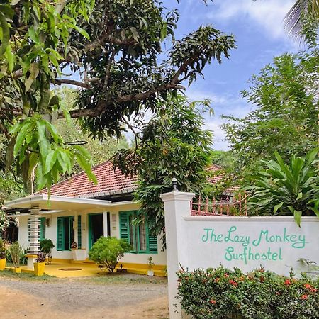 Lazy Monkey Surfhostel - Sri Lanka Dickwella Zewnętrze zdjęcie