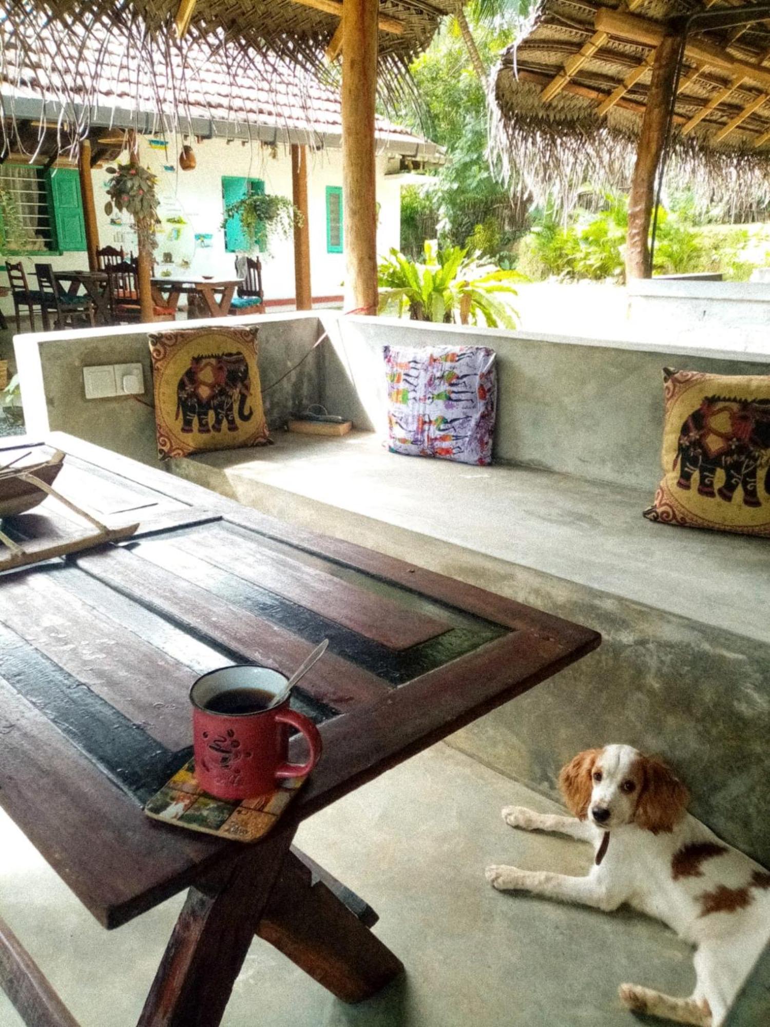 Lazy Monkey Surfhostel - Sri Lanka Dickwella Zewnętrze zdjęcie