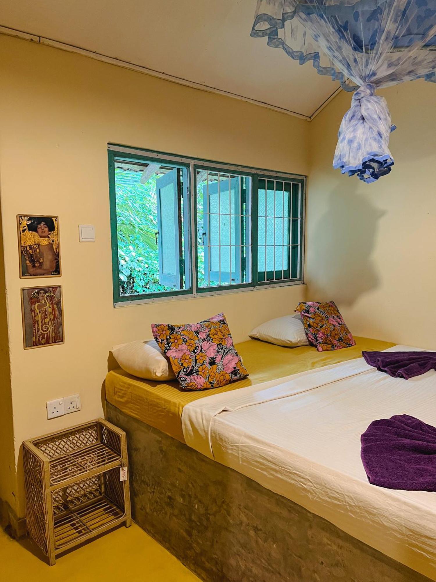Lazy Monkey Surfhostel - Sri Lanka Dickwella Zewnętrze zdjęcie