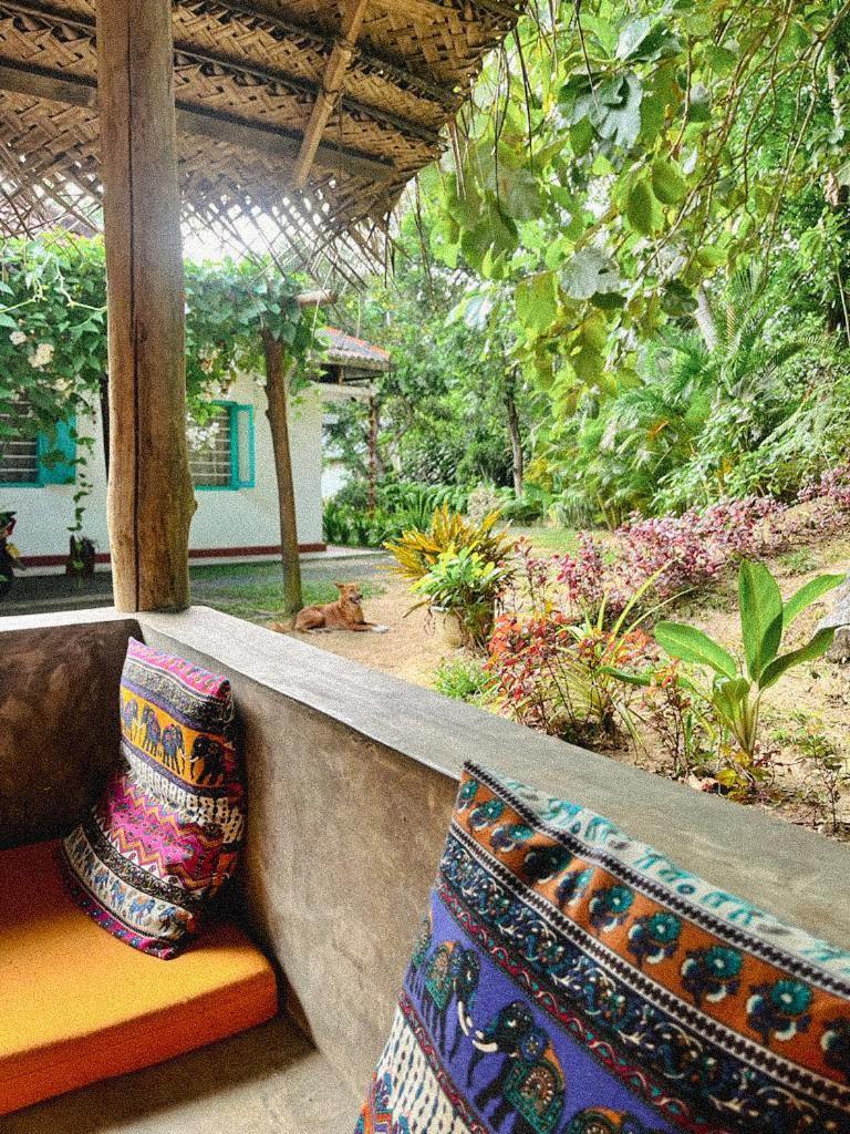 Lazy Monkey Surfhostel - Sri Lanka Dickwella Zewnętrze zdjęcie