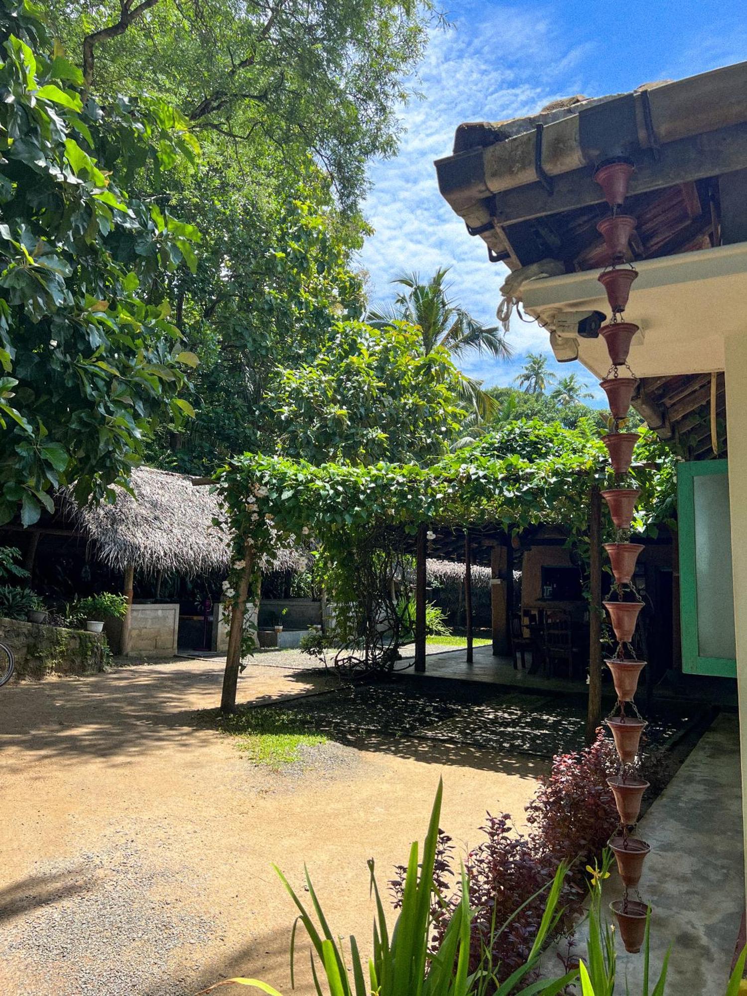 Lazy Monkey Surfhostel - Sri Lanka Dickwella Zewnętrze zdjęcie
