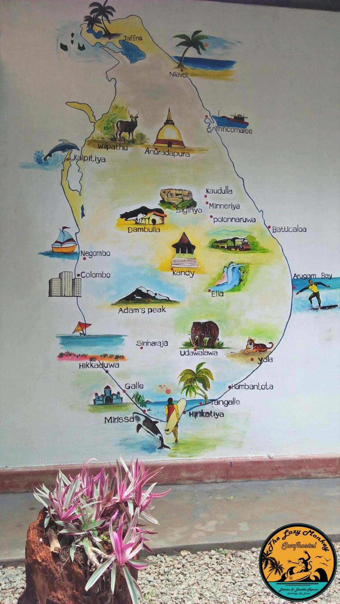 Lazy Monkey Surfhostel - Sri Lanka Dickwella Zewnętrze zdjęcie
