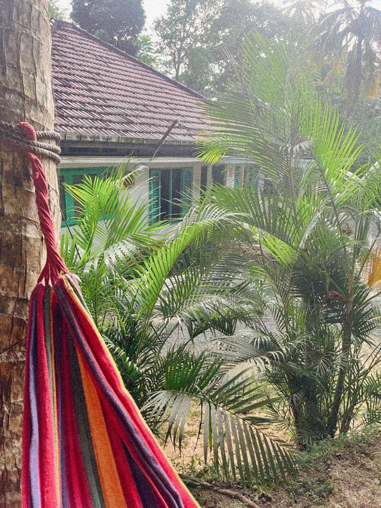 Lazy Monkey Surfhostel - Sri Lanka Dickwella Zewnętrze zdjęcie