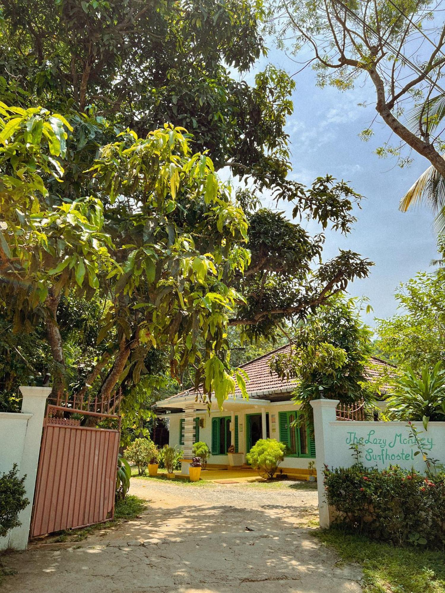 Lazy Monkey Surfhostel - Sri Lanka Dickwella Zewnętrze zdjęcie
