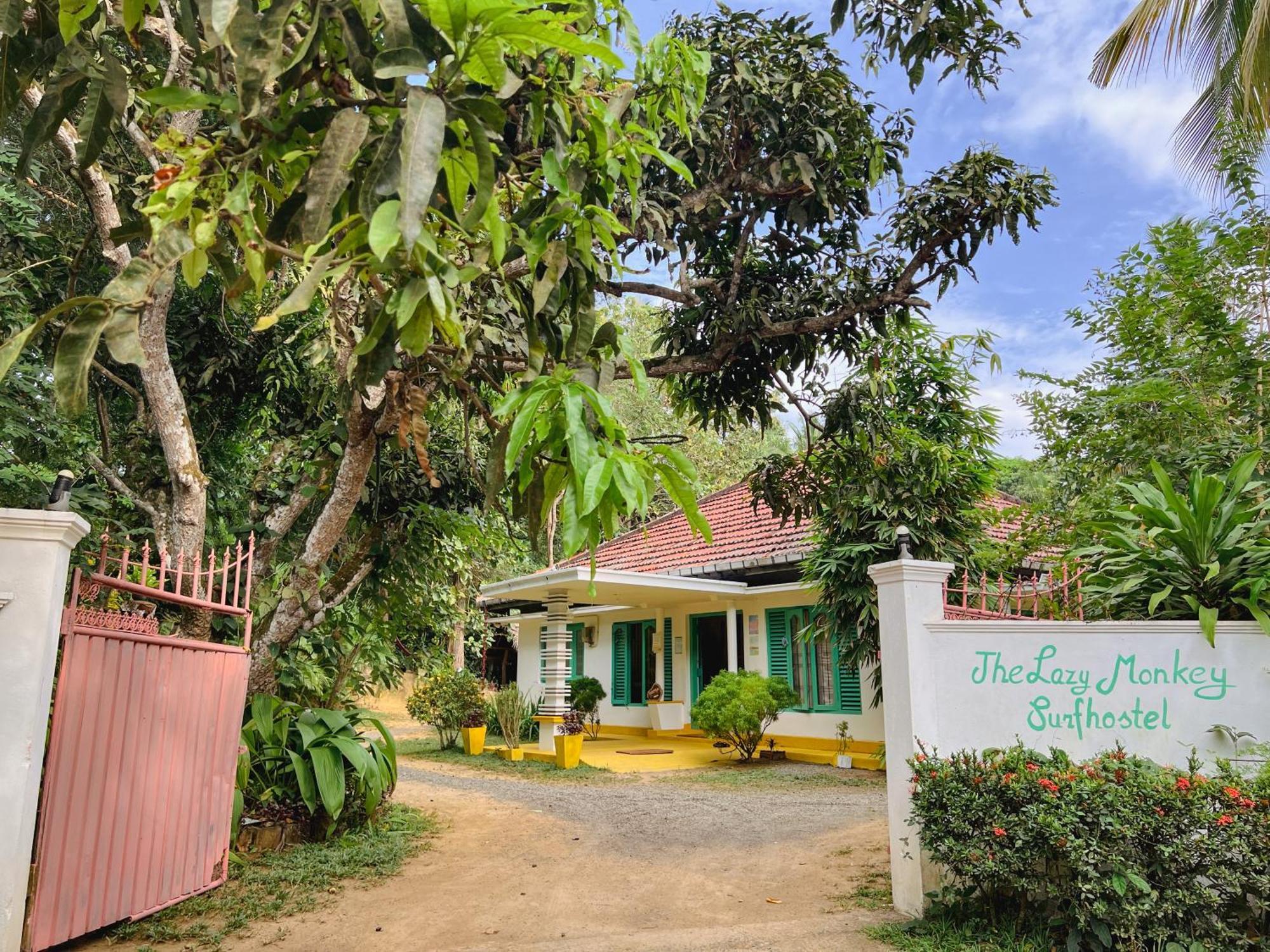 Lazy Monkey Surfhostel - Sri Lanka Dickwella Zewnętrze zdjęcie