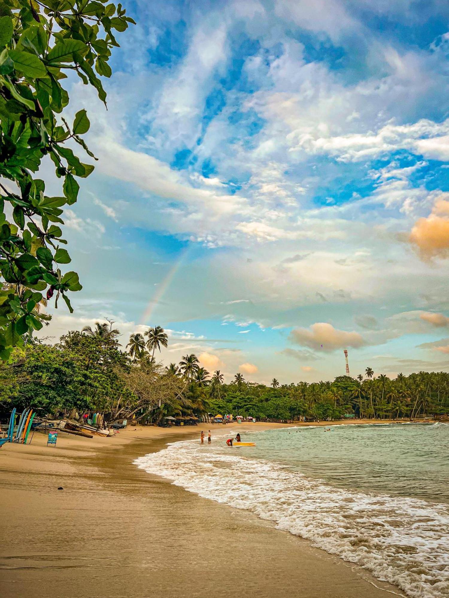 Lazy Monkey Surfhostel - Sri Lanka Dickwella Zewnętrze zdjęcie